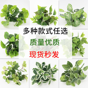 l҃bֲСGֲԔ[ٻֲֲ