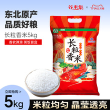 2025���������L������10��|��������ԭ�Z�a��ֱ�������