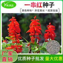 һ���t�N��ͥԺ�׻�����t�N���ļ����׷N�ͺ�����һ�Z�t���N��