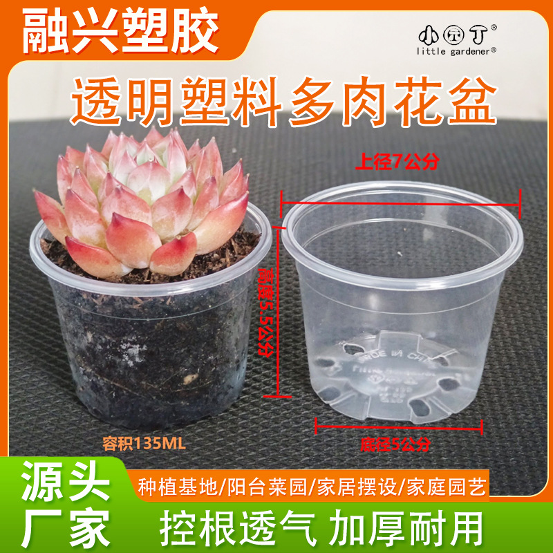 小园丁厂家批发70-55透明透气塑料花盆观察植物根系生长多肉花盆
