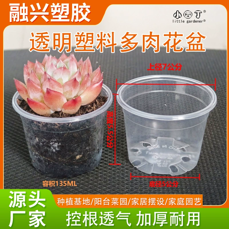 Маленький садовник производитель оптом 70-55 прозрачный дышащий пластиковый цветочный горшок наблюдение растение рост корня сочный цветочный горшок