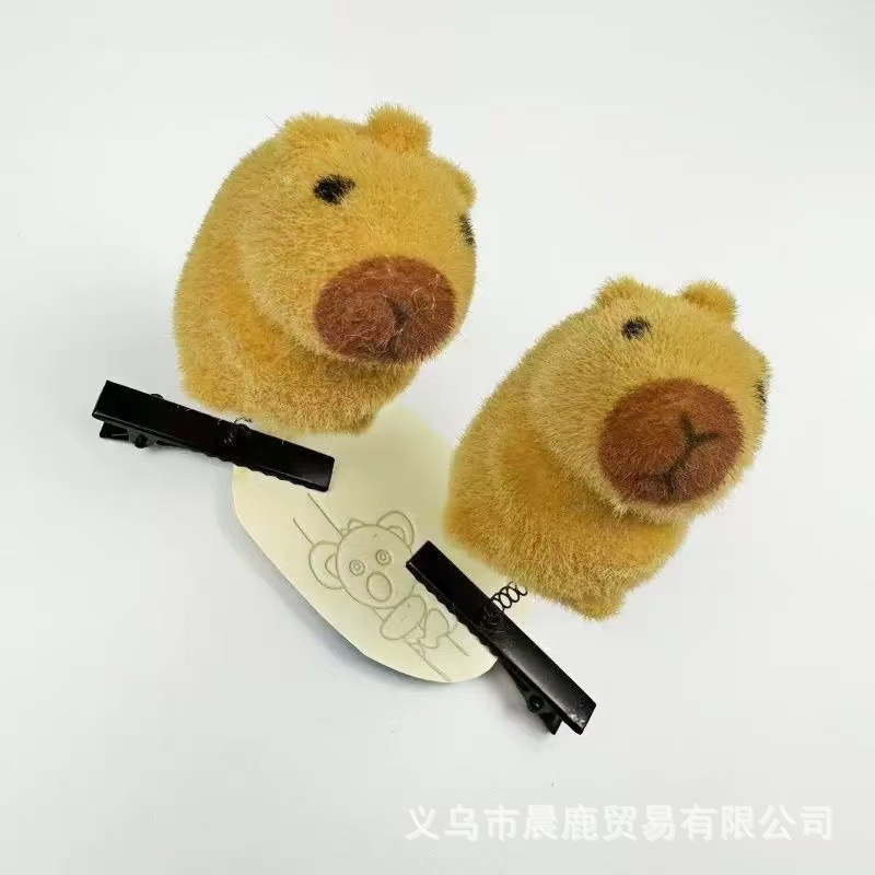 카피발라 스프링(핫 세일)