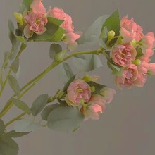 051305  �����¿���Ůͬ��ٴ�ɽҰ�͹��L�ճ�ͨ�ڰٴ�ԽҰ�ܲ�Ь