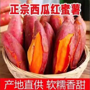 �t�����ϼt�����������r�����t�����ϼt�t�����r�����r�ҬF�ڵع�