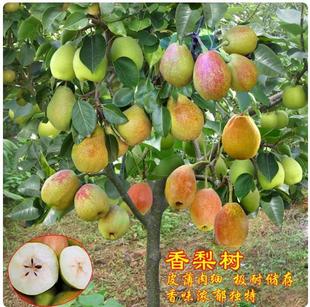 ������޽���������Sˮ���Ә��m���Ԯ���Y�������������