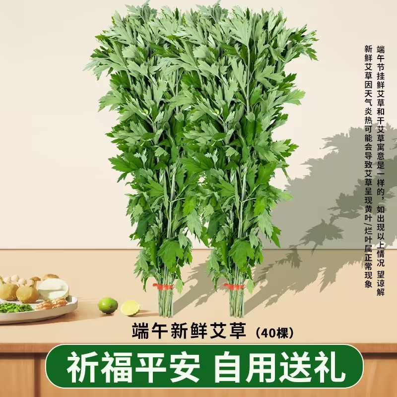 신선한 쑥 2단 (40본)