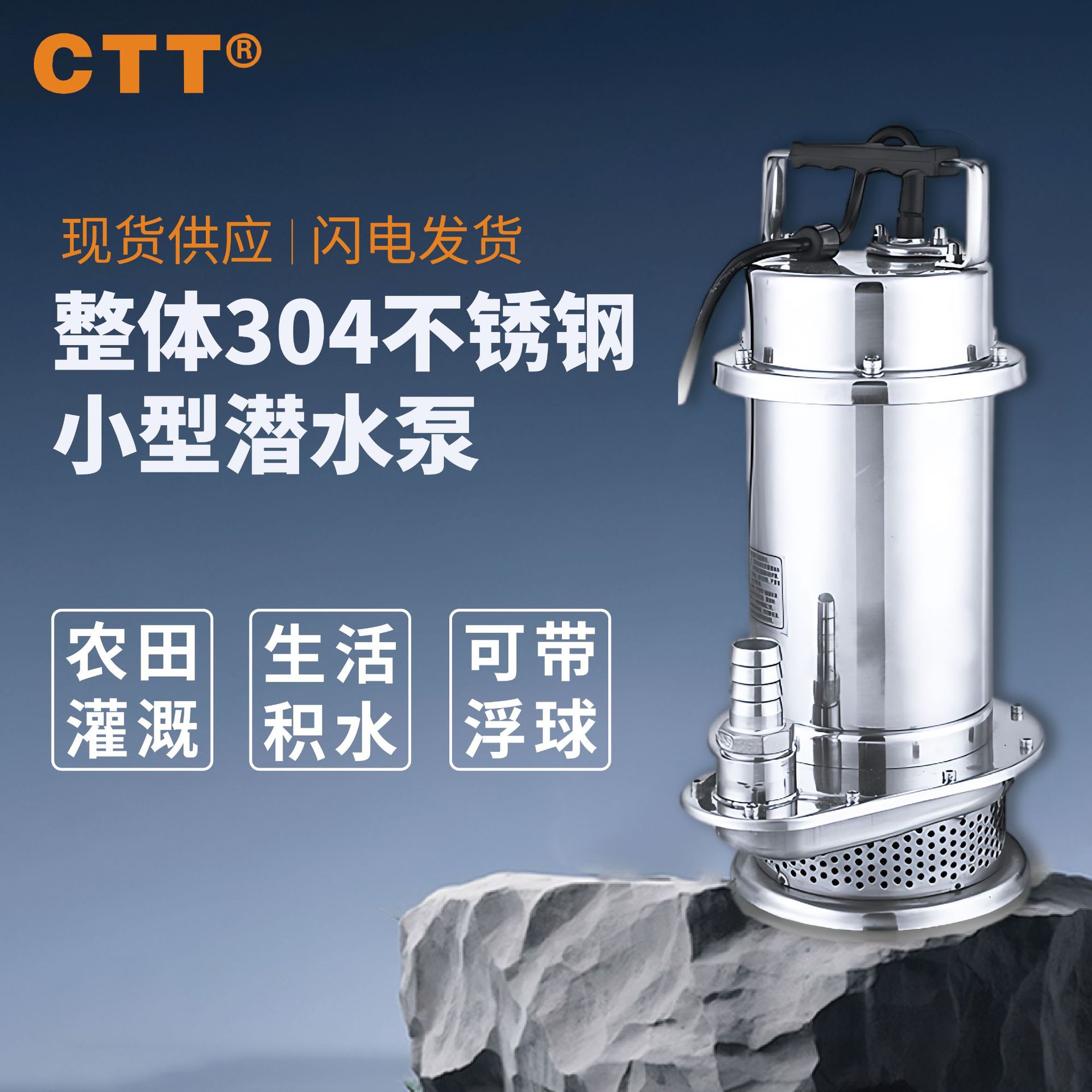 QDX不锈钢潜水泵220v菜地浇水抽水泵喷泉景观小型轻型家用潜水泵