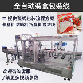 网红雪糕全自动盒装机 酸奶雪糕装盒机器 供应日式冰激凌装盒机