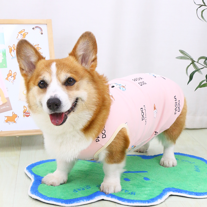 宠物狗狗肚兜衣服四脚全包防着凉防水狗雨衣柯基防脏护肚衣防尘裤|undefined