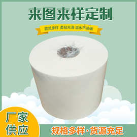跨境擦拭纸 厨房工业干湿两用多规格加厚卷纸无尘纸