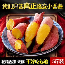 �R����ĿɽС����5�� ���rС�t������С�����r���ԷNɽ��ع�����