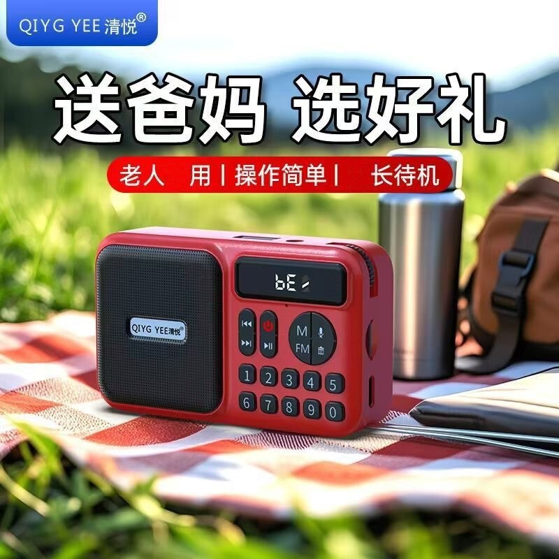 Qingyue S02 USB Flash Drive with Card Slot, Bluetooth Fm Radio, Recording Function, Headphone Output, Digital Player for the Elderly, Small Speaker