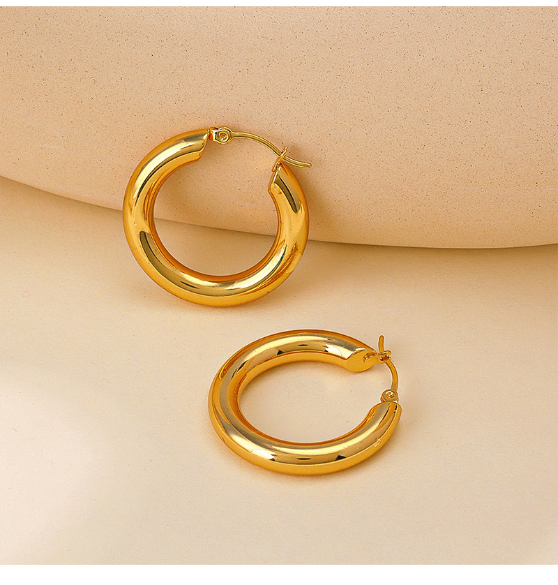 12g Weight 304 Stainless Steel Ear Needle Material Earrings Classification 1 Pair Quantity Holiday, Daily Occasion 1 Pair Elegant Lady Geometric Plating 304 Stainless Steel Earrings
