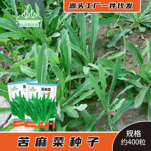 ����˷N�ӿ�˷N���ļ��̨���������Ұ�˿����˴����＾�˷N��