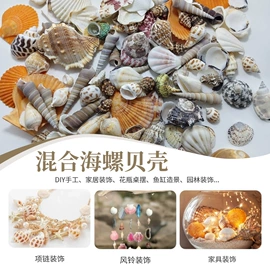 海螺/贝壳;沙石砾石;其他益智玩具