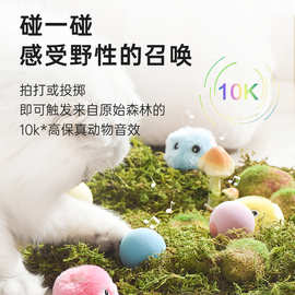 引力叫叫球玩具小猫咪逗猫球猫薄荷发声磨牙耐咬解闷宠物用品发光