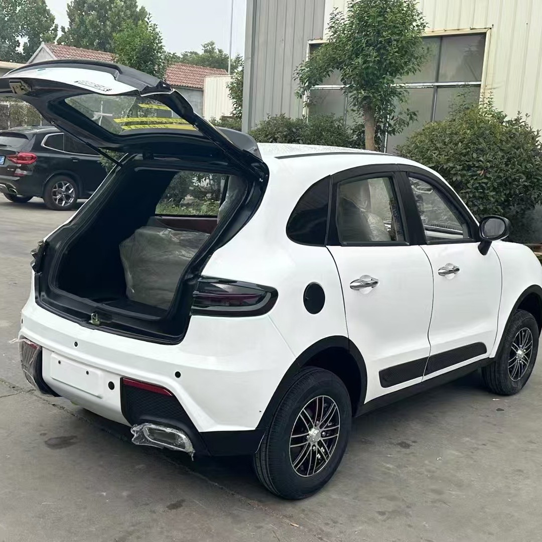 可出口四轮电动代步车 成人家用接娃买菜老头乐高端电轿智能