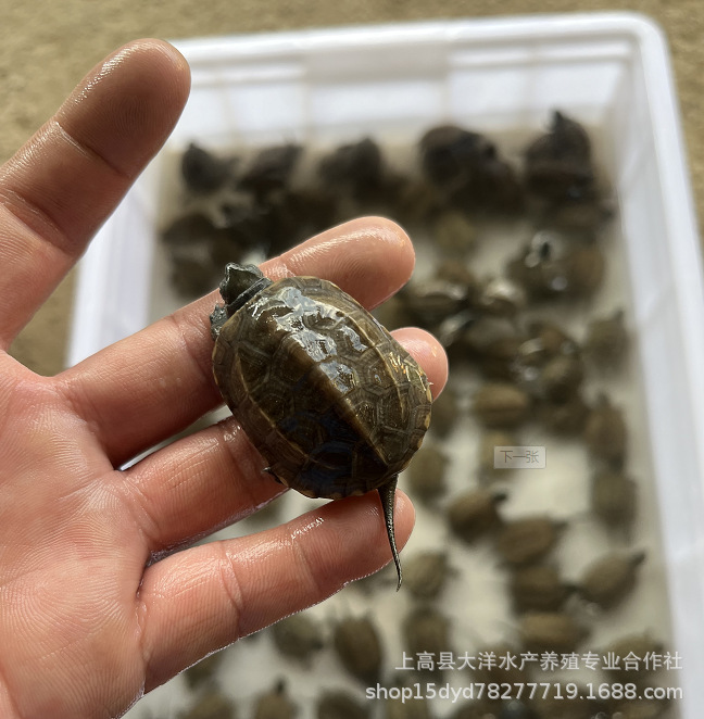 微信图片_202210022035491