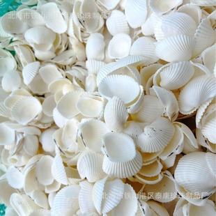 Ư�������Ӛ� ����ؐ����ˇƷ ��Ѫ����3~5cm/1��=50kg��ؐ