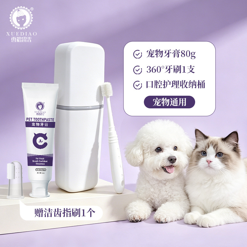 Toothpaste and toothbrush set [new upgrade]