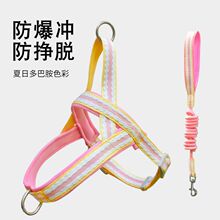 �羳�����ر���С�д���Ȯ������»���Ȯ������Ȯ��ǣ����