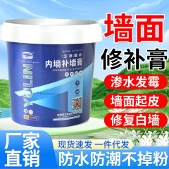 Yulin 無垢壁ペースト防水壁修理ペースト白塗料防水防カビパテメーカー卸売