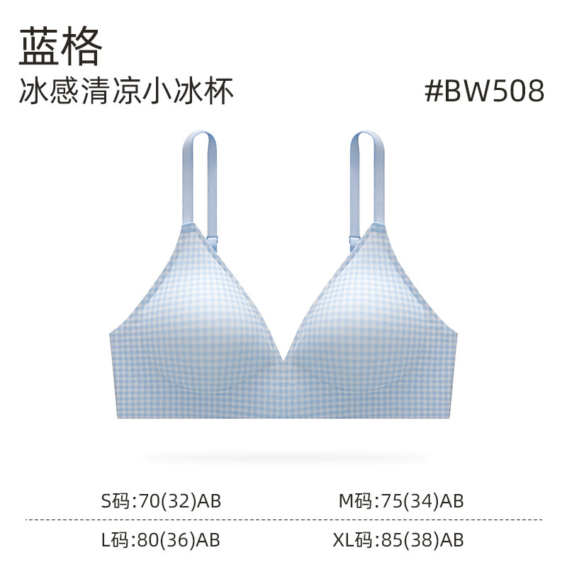 卸売夏の軽くて薄い女性の下着新鮮なハイエンドチェック柄カッププッシュアップ美しいバック三角カップブラセット|undefined