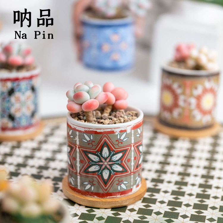 Трансграничные Самые продаваемые цветочные горшки Amazon Самые продаваемые мульти-мясные горшечные растения Внешняя торговля Экспорт керамические горшки на экспорт