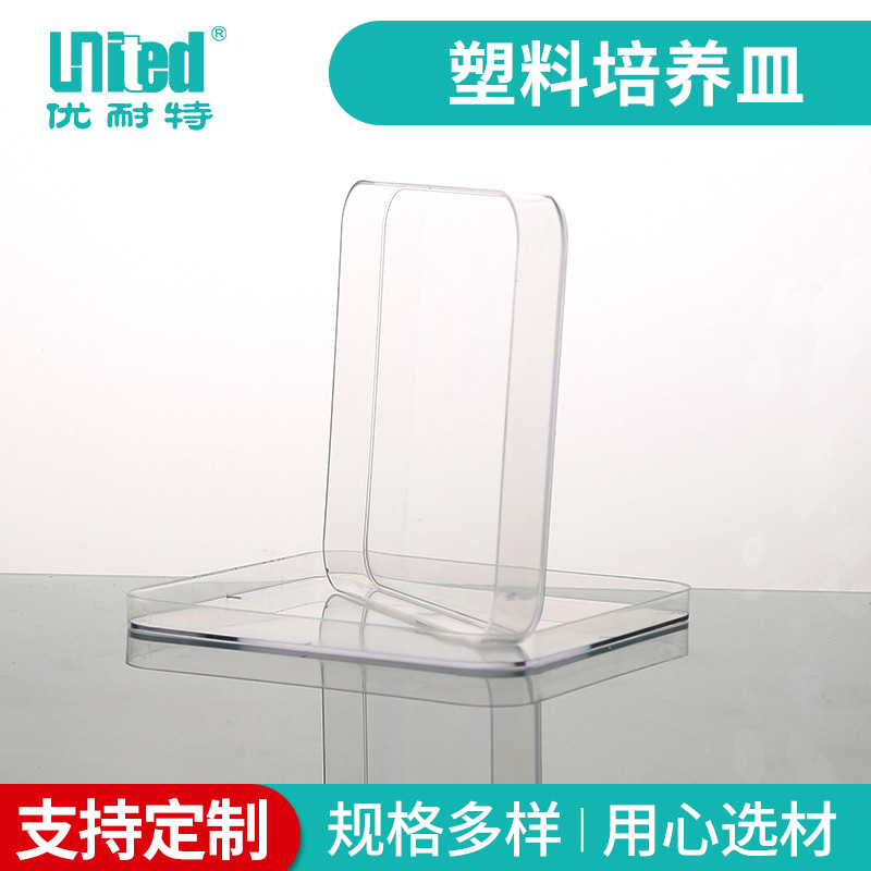 厂家供应 100*100mm方形培养皿 一次性塑料培养皿 规格多样