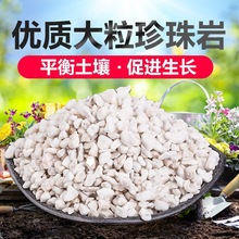 ��ʯ���l�@ˇ��Û�����Ҵ��w���Nֲ�I�B���B����Ҭ������̿������