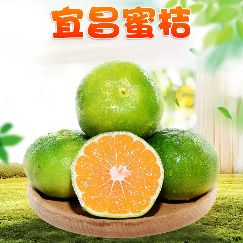 湖北宜昌无籽蜜橘 代发3/9斤大果新鲜水果当季橘子柑橘桔子青绿皮