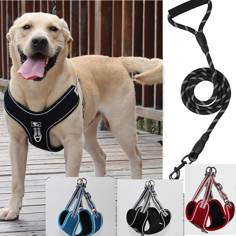 Backpack-style dog leash for Labrador Golden Retriever, anti-bite, suitable for small, medium, and large dogs, walking rope, dog chain