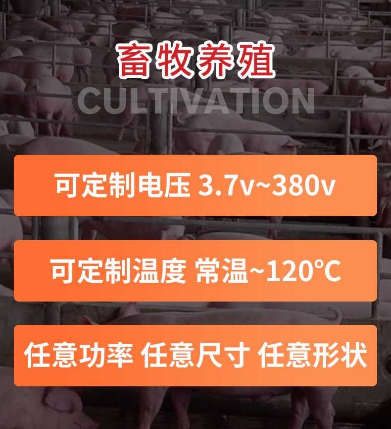 小猪版详情_09.jpg