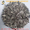 Manufactor customized Inner Mongolia Sunflower Landmarks melon seed wholesale OEM 363 Thousand grain weight 220 grain