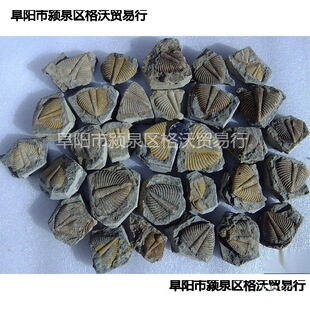 65�̌W��ʯ26�^�pʯβ�Ϳ����dȤ��ͯ覴���Ȼ��ʯ�ջ�ʯ���~�x