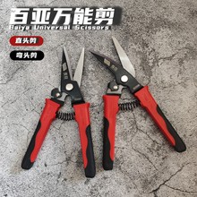 ֱ�^�FƤ�� 65�i䓏��^�FƤ�� 늹��� �FƤ����䓽z�FƤ��S��