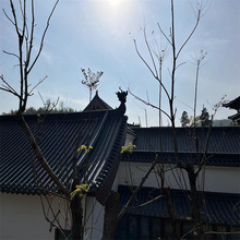 �~������������~�ݼ��~���~�F��Ժ�~�����~��С���߹��̳нӶ���