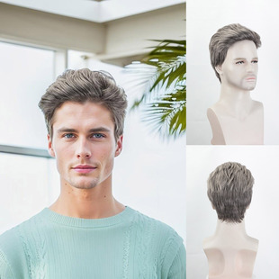 Wig European and American Export Men's Wig Headgear Chemical Fiber Realistic Daily Life Fashionable Silver Gray Short Straight Hair Head