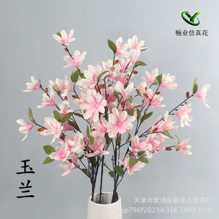 �S�����l���滨���m�ٻ���c�Ҿ��҃��b��߽�������������m��
