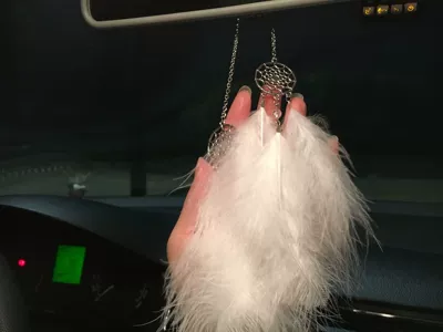 Car hanging – creative eternal flower aromatherapy car - dream-catcher