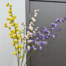 4�����_�m���滨 ��c��Y�����߾��l����·���廨�����bٻ�