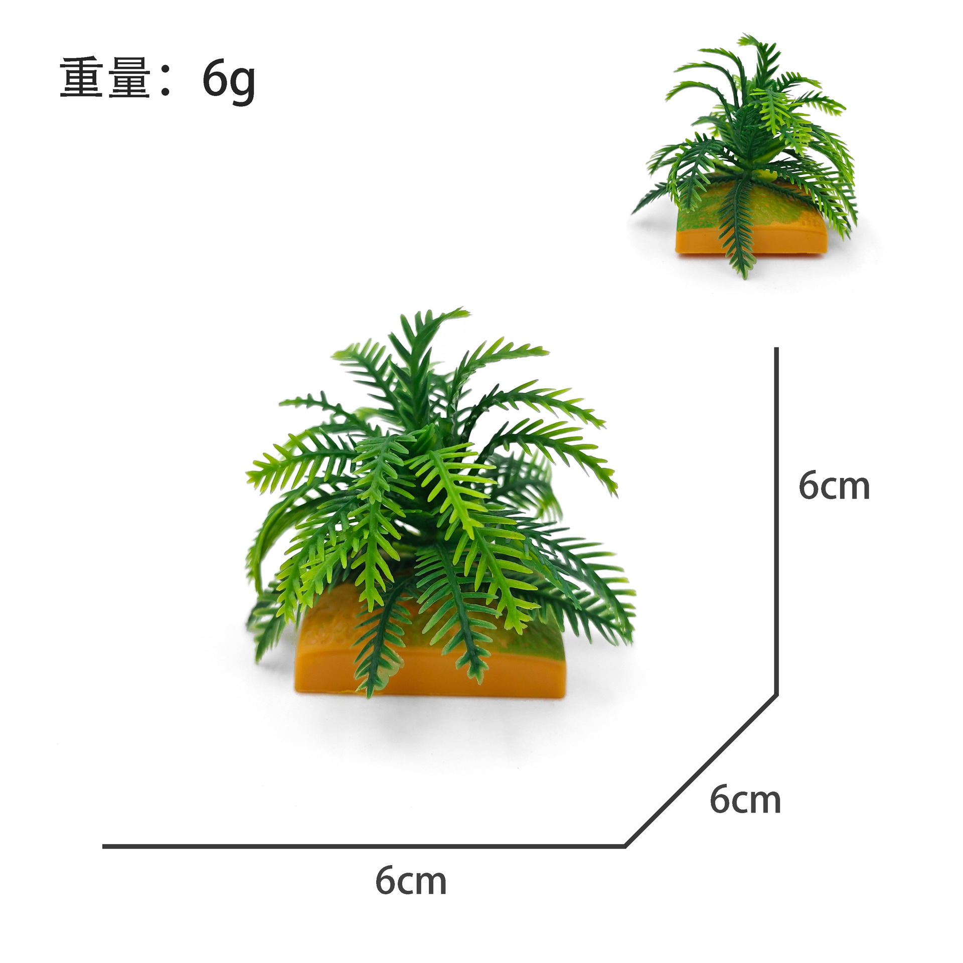 グリーングラス 6g