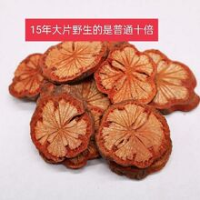 �t�� Ƭ��Ѫ�� ��ѪͨѪͨ�ٰ��]��؛��؛