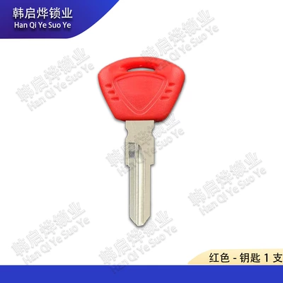 Triumph675 1050 T100 – Motorcycle Key