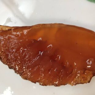 �����]����4.5�f���ղء�ˬ�ຣ���^���|5-7���{�ƺ����^Ͱ�b����