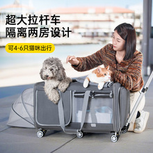 dodopet����؈�乷�������y���U��ɲ�ж�f��݆͸����ۯB���U