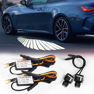 Universal Car Rearview Mirror Angel Wings Welcome Light Carpet Light Projector Lighting Carpet Light Led Projector Lighting