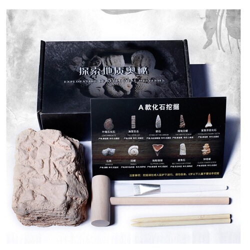 Paleontological fossils, archaeological excavation, raw stones ores, crystal stones, geological popular science, children's teaching specimen gifts