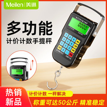 精准计价手提秤高精度电子称随身弹簧挂钩便携式精准快递卖菜秤