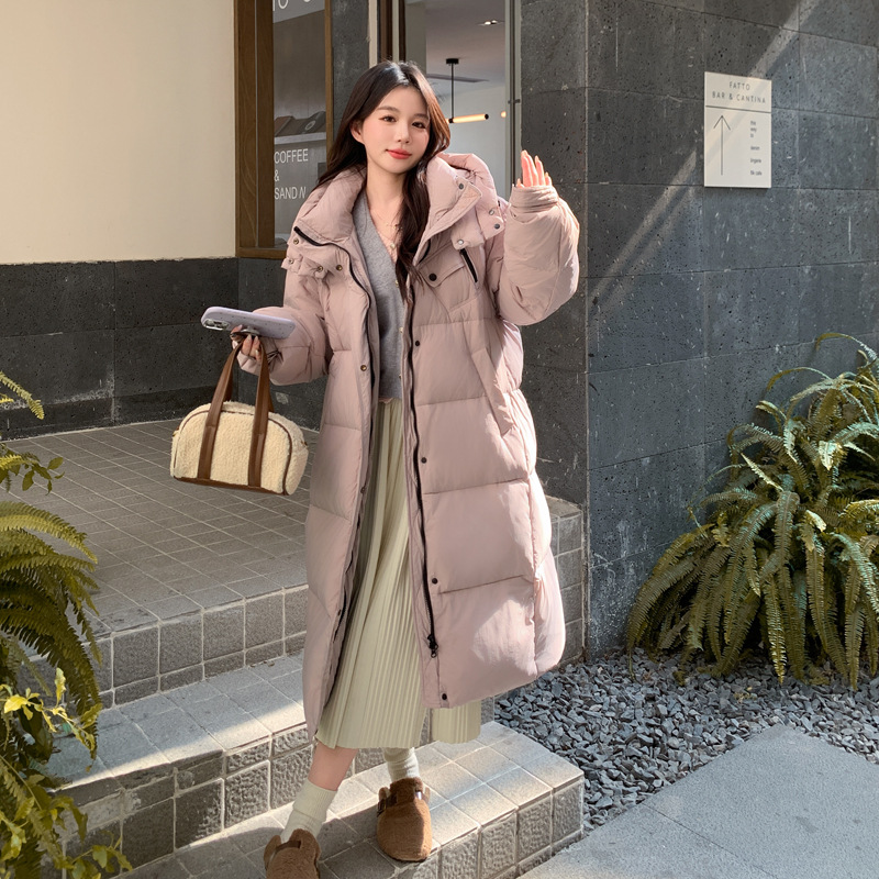 보라색 분홍색